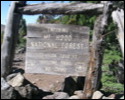 Pic 130_b.jpg