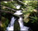 Pic 136_b.jpg