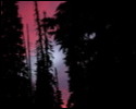 Pic 141_a.jpg