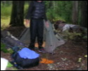 Pic 147_b.jpg