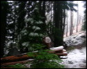 Pic 148_a.jpg
