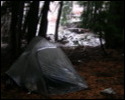 Pic 148_b.jpg