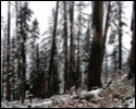 Pic 149_a.jpg