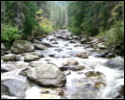 Pic 154_c.jpg