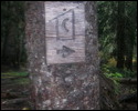 Pic 157_b.jpg