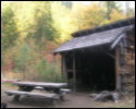 Pic 157_c.jpg