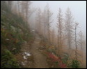 Pic 162_a.jpg