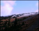 Pic 162_c.jpg