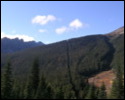 Pic 163_a.jpg